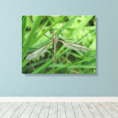 Crane Fly Canvas Print (Insitu (Houten vloer))
