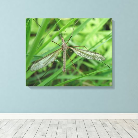 Crane Fly Canvas Print (Insitu (Houten vloer))