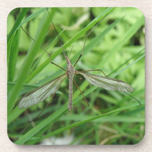 Crane Fly Cork Onderzetter (Voorkant)