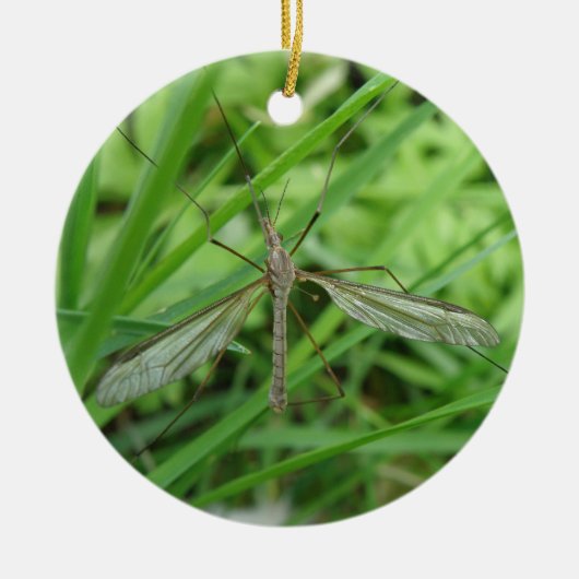 Crane Fly Custom Birthday Keramisch Ornament (Voorkant)