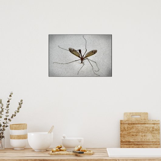 Crane Fly Poster (Keuken)
