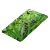 Crane Fly Premium Magnet Magneet (Linkerzijde)