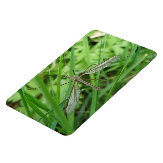 Crane Fly Premium Magnet Magneet (Linkerzijde)