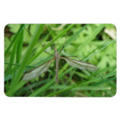 Crane Fly Premium Magnet Magneet (Horizontaal)