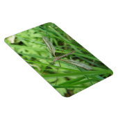 Crane Fly Premium Magnet Magneet (Rechterzijde)