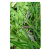 Crane Fly Premium Magnet Magneet (Verticaal)