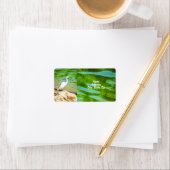 Crane on the Mismaloya River 0335 Address Etiket (Insitu)