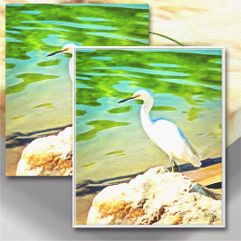 Crane on the Mismaloya River 0335 Art Canvas Afdruk