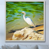 Crane on the Mismaloya River 0335 Art Print