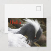 Crane Sluit HALLO Briefkaart (Voorkant / Achterkant)