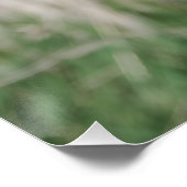 Crane View Perfect Poster (Hoek)