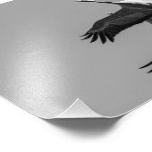 Cranes Foto Afdruk (Hoek)