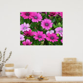 Cranesbill Geranium (roze bloemen) Afdruk/Poster Poster (Keuken)