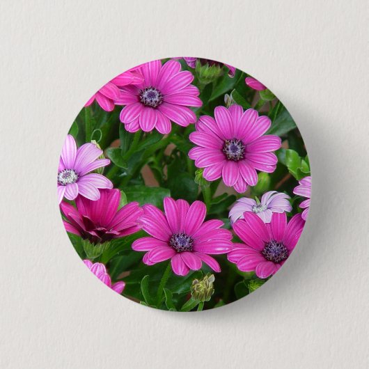 Cranesbill Geranium (roze bloemen) Button (Voorkant)