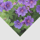 Cranesbill Geranium Tissue Paper Tissuepapier (Detail)