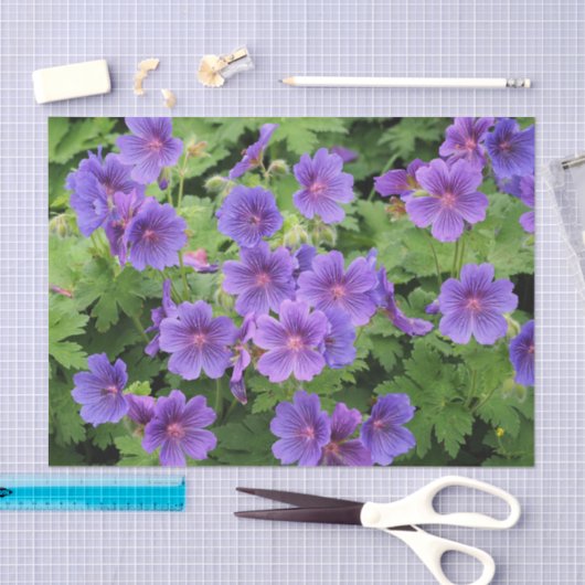 Cranesbill Geranium Tissue Paper Tissuepapier (Craft)