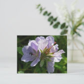Cranesbill Geraniums, Unalaska Island Briefkaart (Staand voorkant)