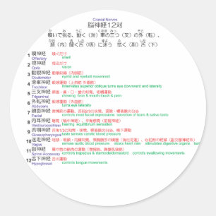 Cranial Nerves japanese 12 Ronde Sticker