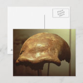 Cranium van een Neanderthaler Briefkaart (Voorkant / Achterkant)