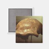 Cranium van een Neanderthaler Magneet (Voorkant / Achterkant)