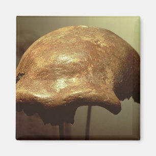 Cranium van een Neanderthaler Magneet