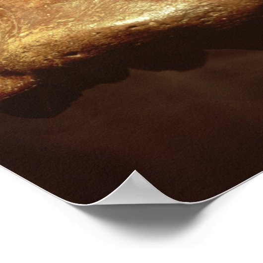 Cranium van een Neanderthaler Poster (Hoek)