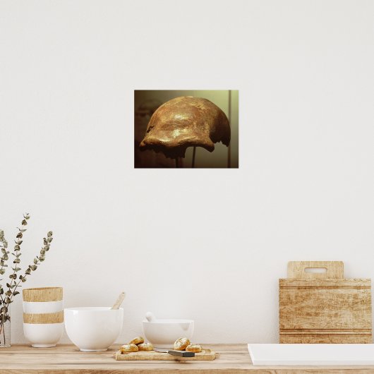 Cranium van een Neanderthaler Poster (Keuken)