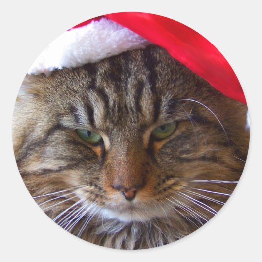 Cranky Christmas Cat Stickers (Voorkant)