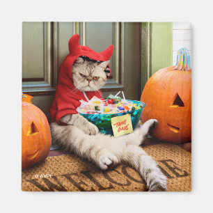 Cranky Devil Cat Magneet