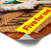 Cranky Devil Cat Poster (Hoek)