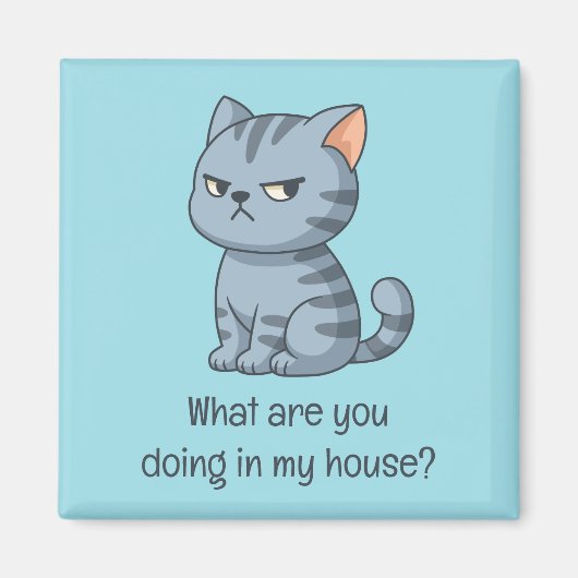 Cranky Grey Tabby Cat Funny Text Blue Magneet (Voorkant)