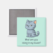Cranky Grey Tabby Cat Funny Text Green Magneet (Voorkant / Achterkant)