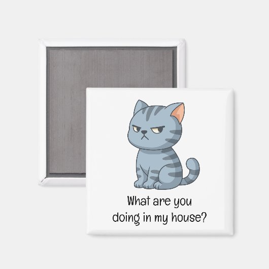 Cranky Grey Tabby Cat Funny Text Magneet (Voorkant / Achterkant)