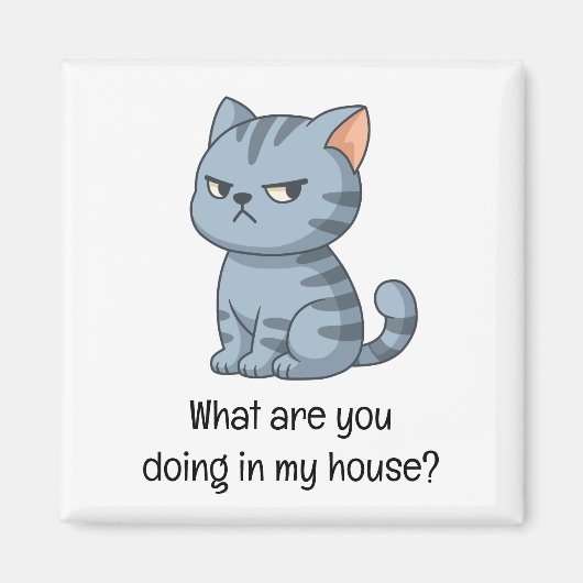 Cranky Grey Tabby Cat Funny Text Magneet (Voorkant)