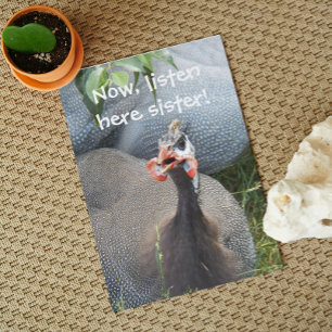 Cranky Guinea Fowl Foto Funny Birthday Kaart