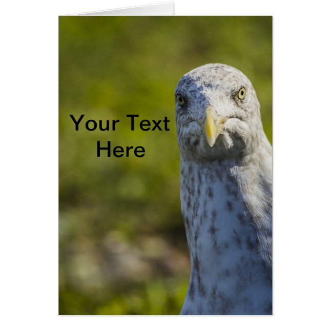 Cranky Old Seagull (voeg je eigen tekst toe) (Voorkant)