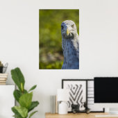 Cranky Old Seagull (voeg je eigen tekst toe) Poster (Thuiskantoor)