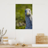 Cranky Old Seagull (voeg je eigen tekst toe) Poster (Keuken)