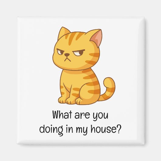 Cranky Orange Tabby Cat Funny Text Magneet (Voorkant)