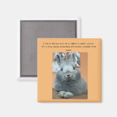 Cranky Rabbit Fridge Magnet (Voorkant / Achterkant)