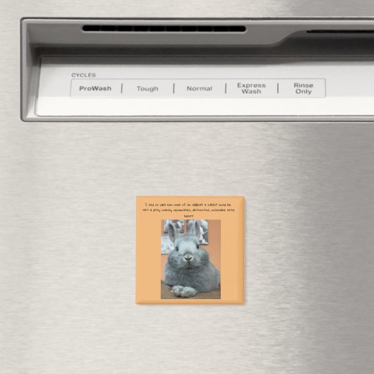 Cranky Rabbit Fridge Magnet (Insitu (Vaatwasser))