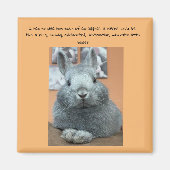 Cranky Rabbit Fridge Magnet (Voorkant)