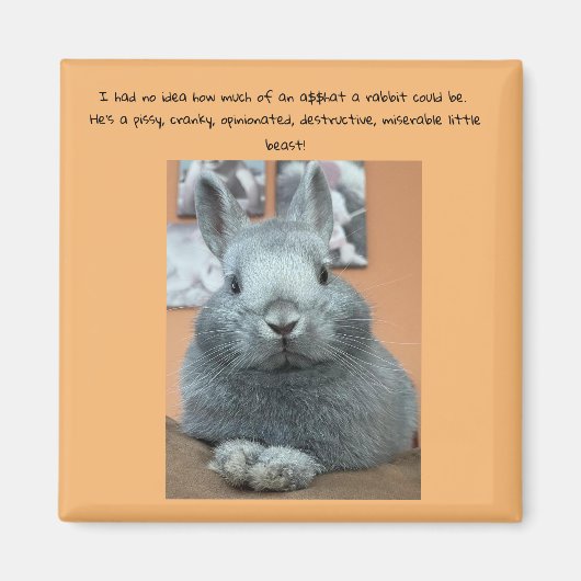 Cranky Rabbit Fridge Magnet (Voorkant)