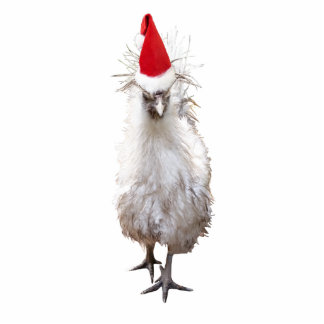 Cranky Silkie Bantam Chicken Santa Hat Kerstmis Staand Fotobeeldje