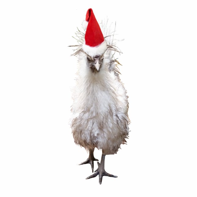Cranky Silkie Bantam Chicken Santa Hat Kerstmis Staand Fotobeeldje (Voorkant)