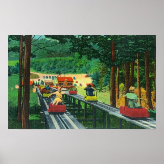 Cranmore Mountain Ski-Mobile in Summertime Poster (Voorkant)