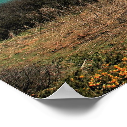 Crantock Bay Poster (Hoek)