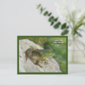 Crapo Park kikker, Burlington, IA Briefkaart (Staand voorkant)