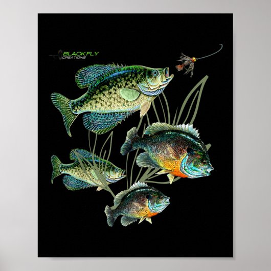 Crappie Bluegill Fishing Shirts Hoodies Black Fly Poster (Voorkant)