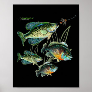 Crappie Bluegill Visserij Truien Hoodies Zwart Vli Poster